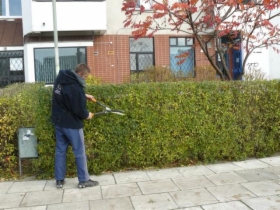 PRZYCINANIE ŻYWOPŁOTÓW WARSZAWA